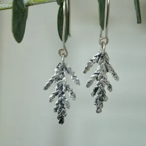 Cedar Drop Earrings