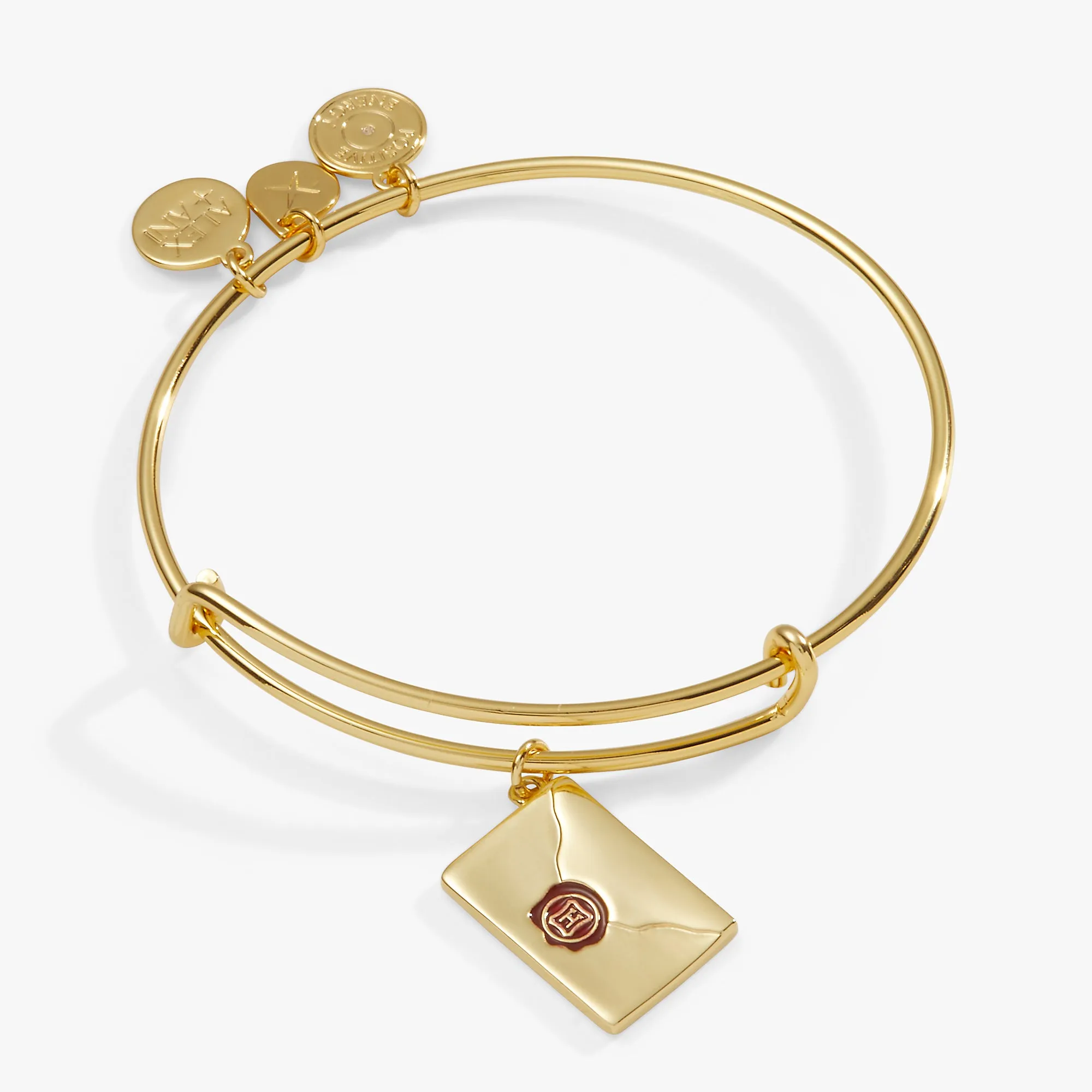 Harry Potter? Acceptance Letter Charm Bangle