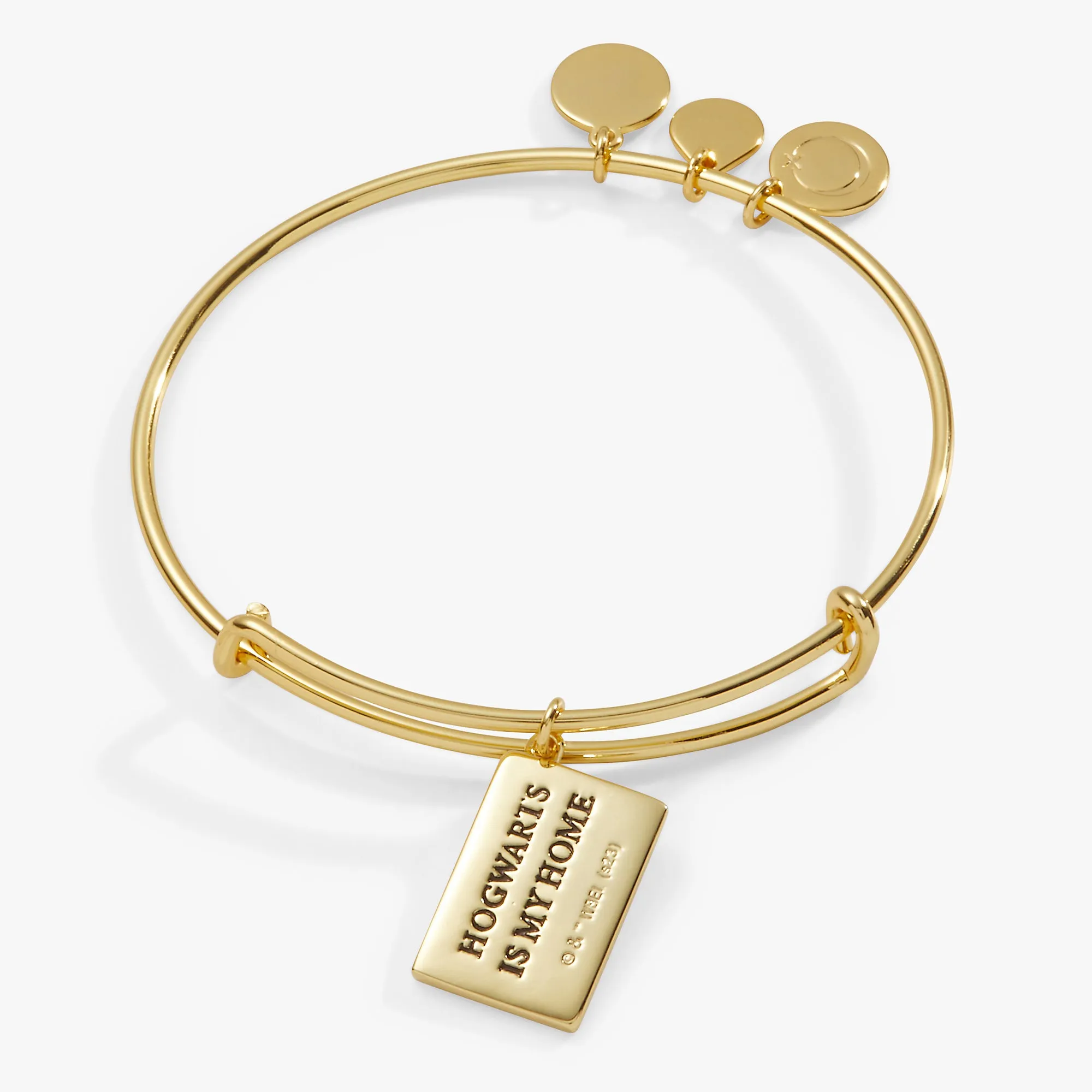 Harry Potter? Acceptance Letter Charm Bangle
