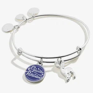 Harry Potter? Expecto Patronum Duo Charm Bangle
