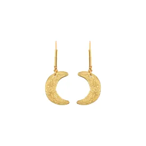 Small Moon Earrings